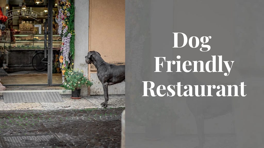 Dog Friendly Restaurant