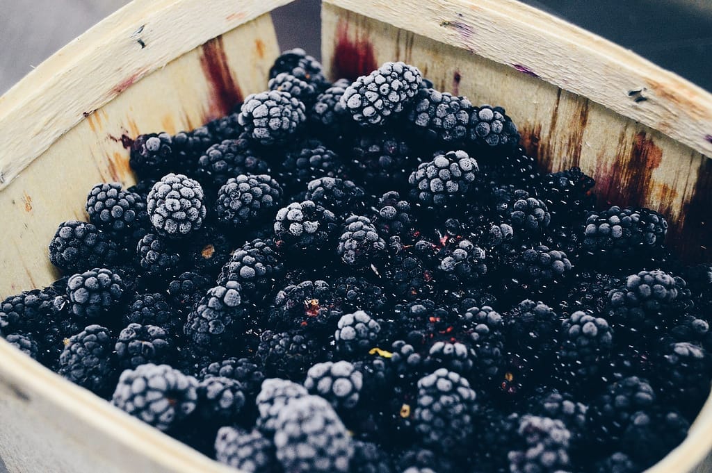 blackberries in a basket