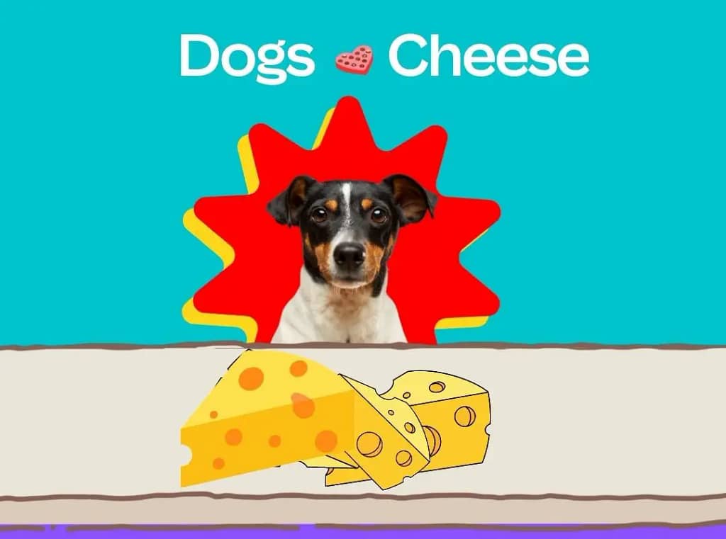 is it good for dogs to eat cheese