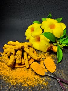 Turmeric is a Natural foods for dog
