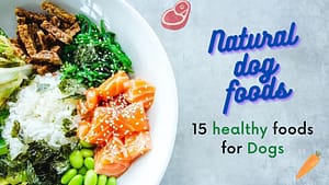 Natural dog foods: 15 healthy foods for dogs