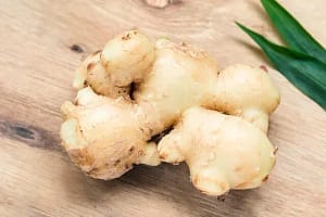 Ginger is Natural dog foods